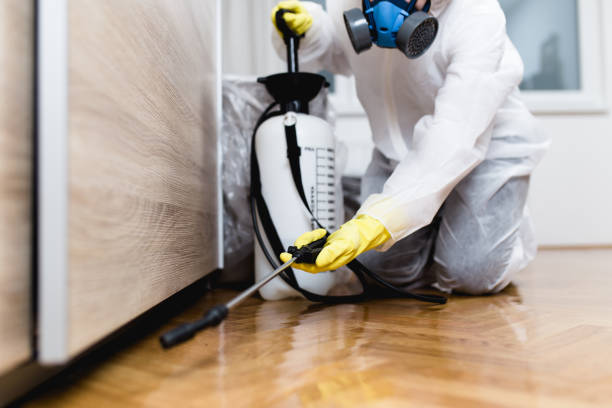 Best Commercial Pest Control Services  in Reidsville, GA