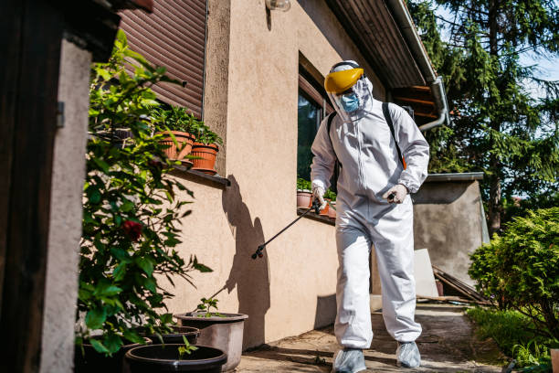 Best Rodent Control Near Me  in Reidsville, GA