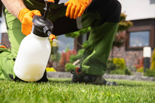 Best Pest Control for Restaurants  in Reidsville, GA