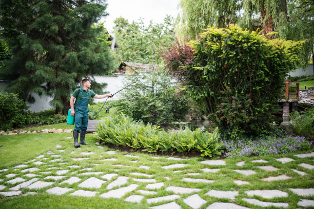 Best Ant Control Services  in Reidsville, GA