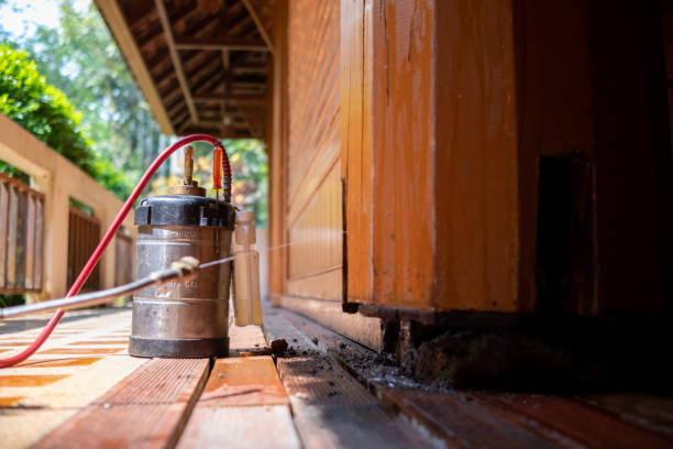 Best Mosquito Control Services  in Reidsville, GA