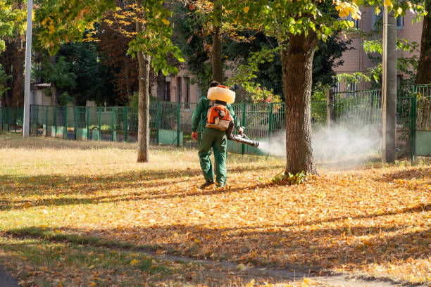 Best Wildlife Control Services  in Reidsville, GA