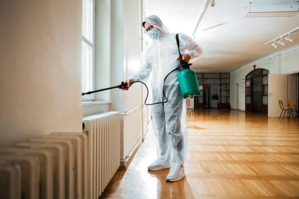 Best Affordable Pest Control Services  in Reidsville, GA