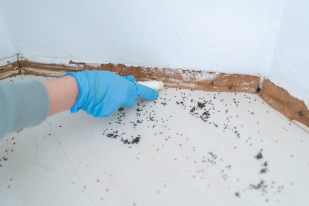 Best Best Pest Control Companies  in Reidsville, GA